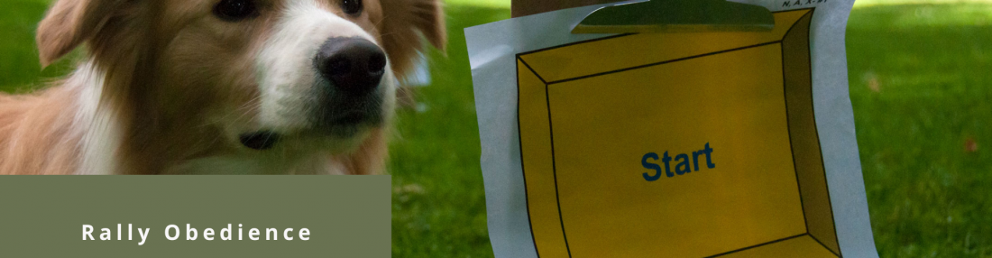 Rally Obedience
