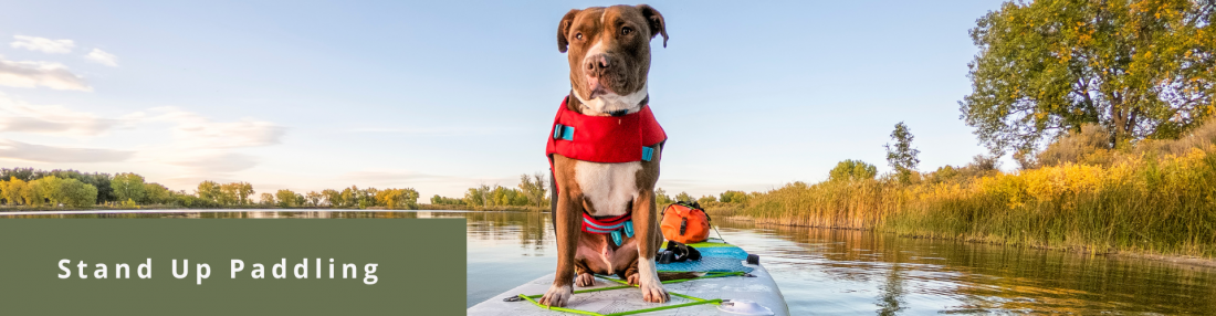 Stand Up Paddling - First Feeling 