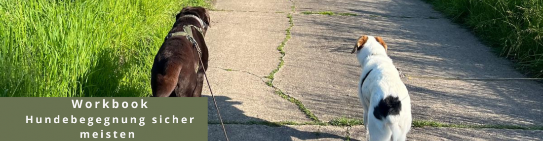Workbook - Hundebegegnung sicher meistern