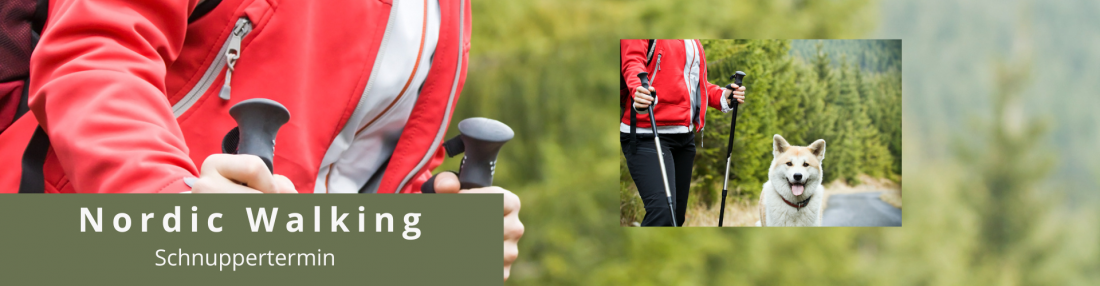 🐾 Nordic Walking mit Hund – Schnuppertermin 🐾