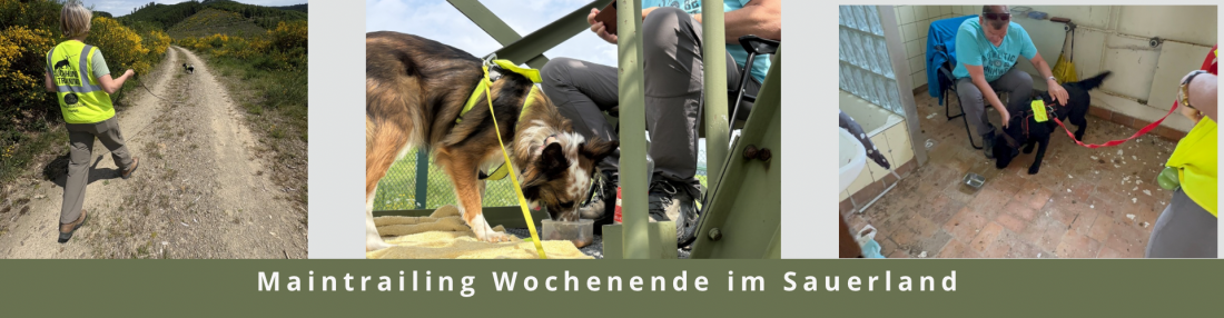 Sauerland Mantrailing 