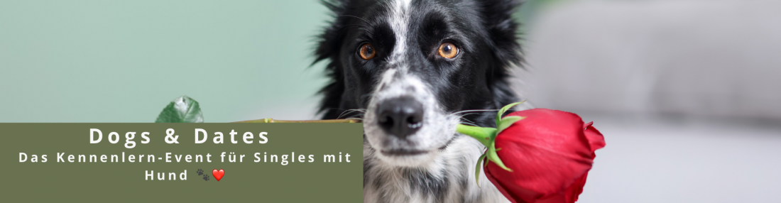 Dogs & Dates