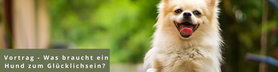 Vortrag - Was braucht ein Hund zum glücklich sein?