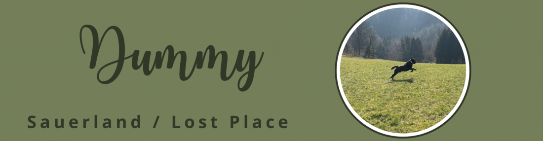 Dummy - Workshop Sauerland